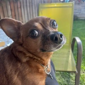 Meet your Posher, Melissa